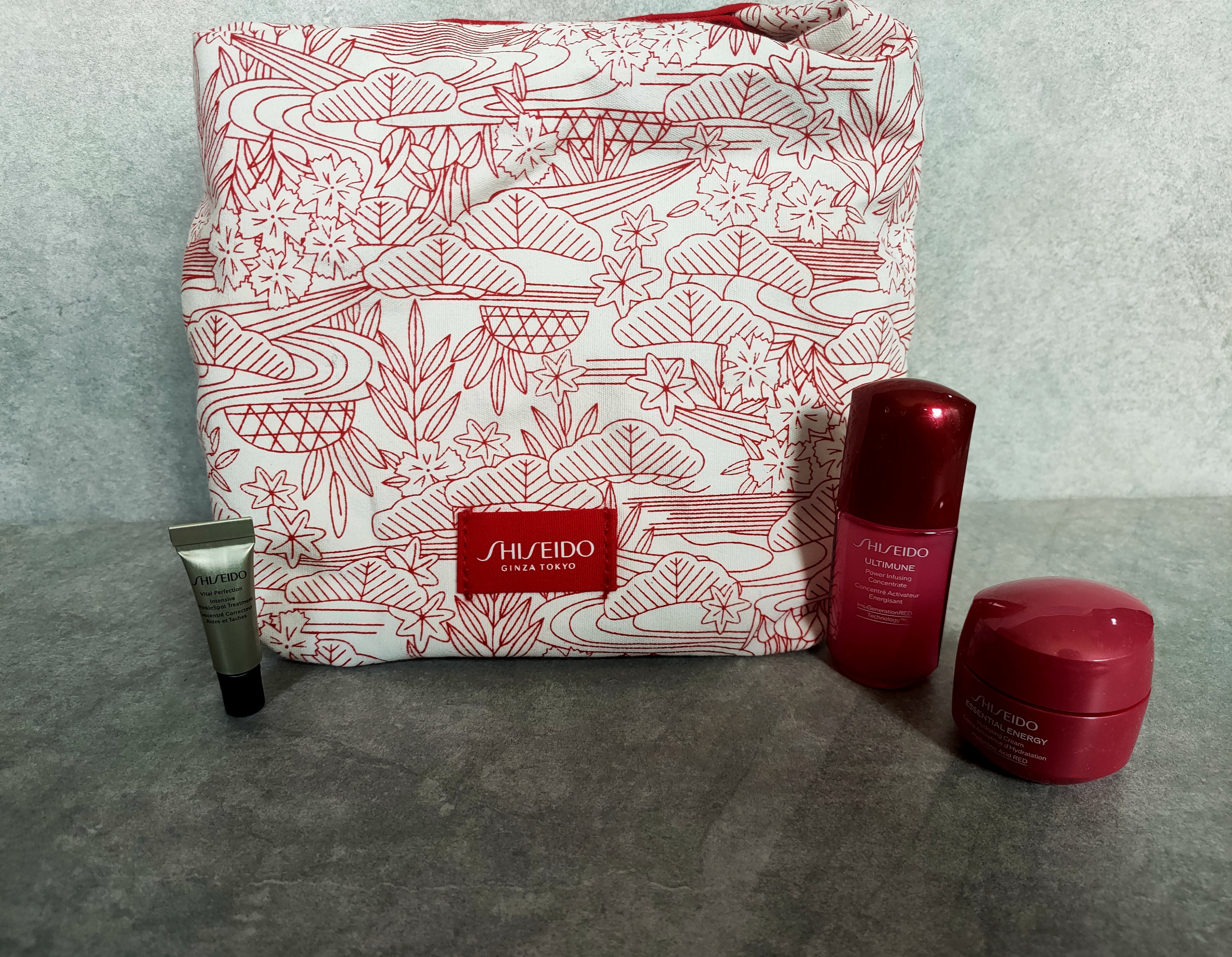 Shiseido gift set